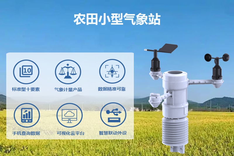 农田小型气象站：如何实现节本增效与品质双提升