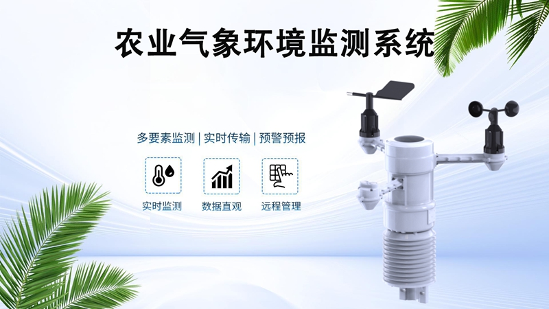 农业气象环境监测系统：构建气候智慧型农业的基石