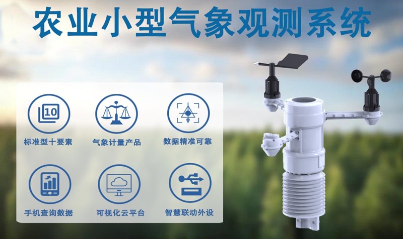 如何利用农业小型气象观测系统应对气候挑战?