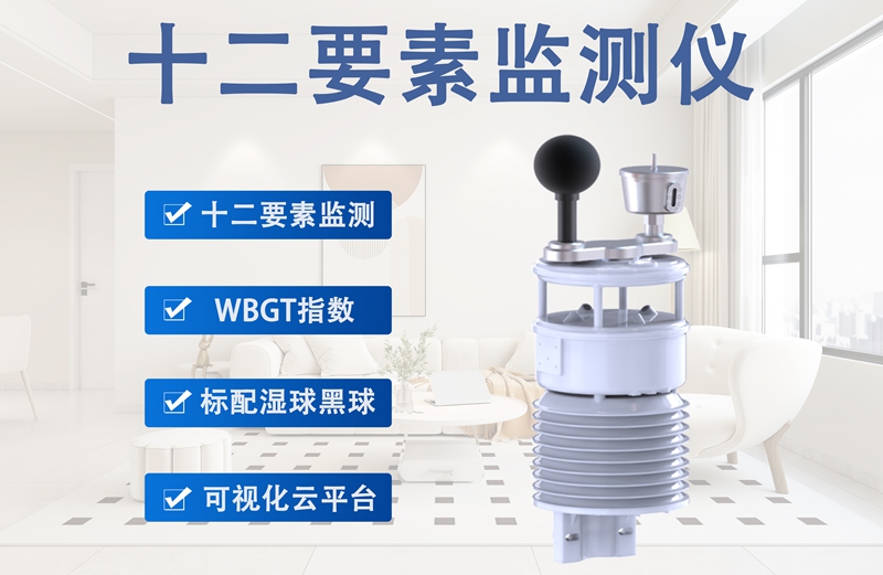 十二要素监测仪