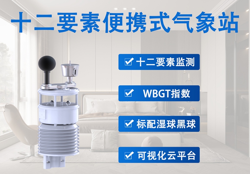 十二要素便携式气象站